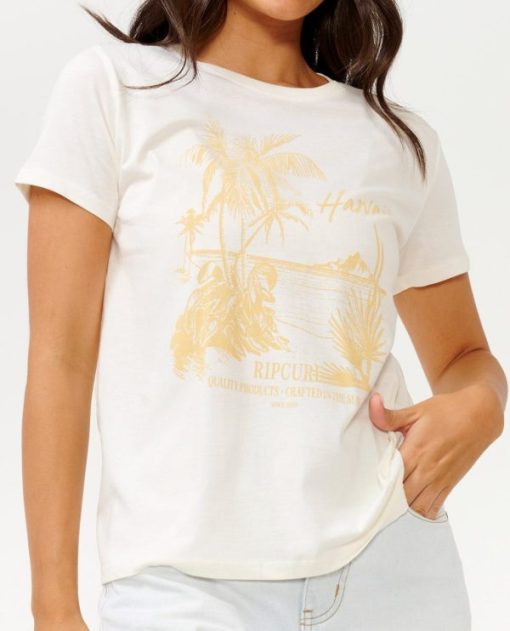 Vogueroute.shop182bdab24e 5