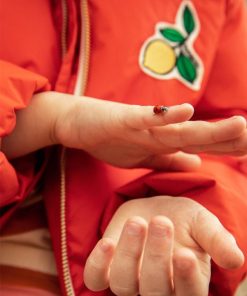 Vogueroute.shop731d3c34ac 4