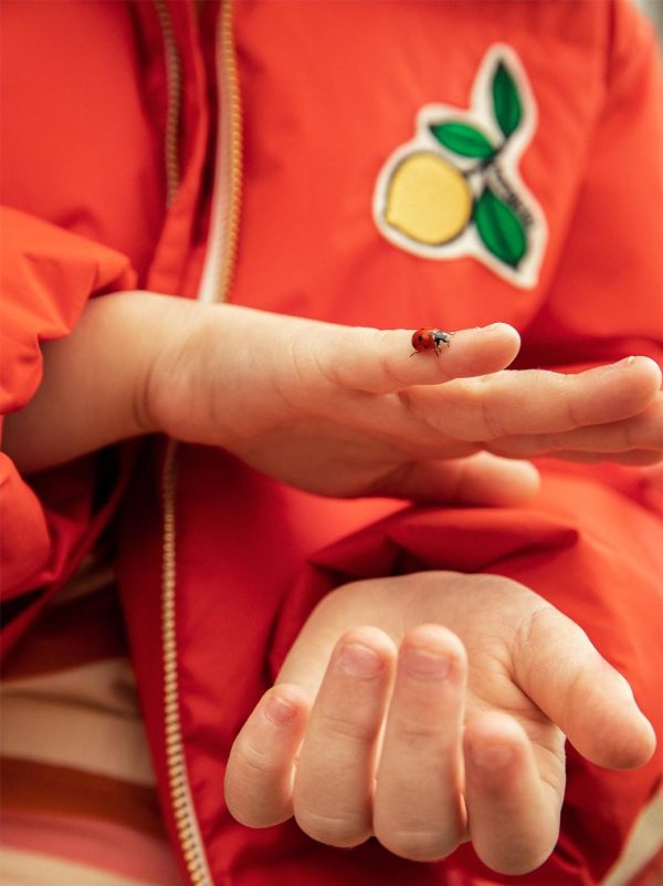 Vogueroute.shop731d3c34ac 4