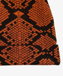 Vogueroute.shopd4d8880101 2